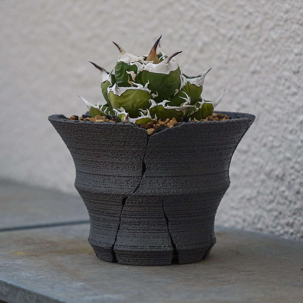Green Mountain クラックスリット鉢 G 大鉢 (15cm) | one4