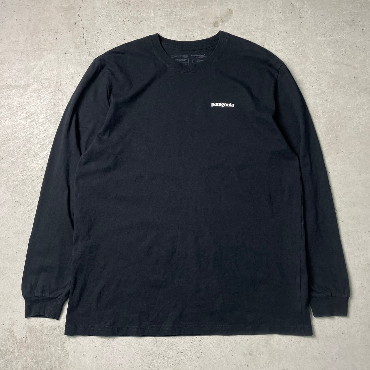 patagonia パタゴニア 胸ロゴ バックプリント ロングTシャツ ロンT 