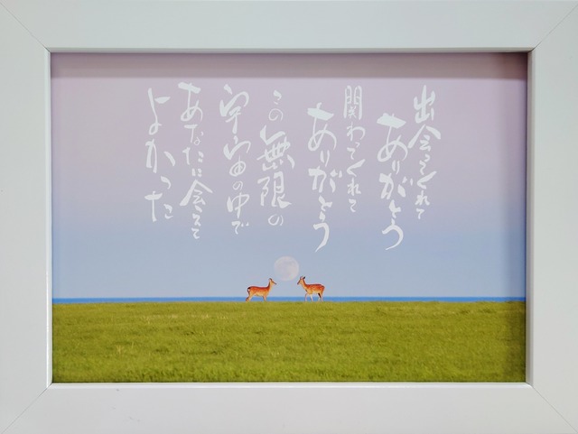 A4額付きプリント「この無限の宇宙の中で～写真家岡田光司氏コラボ作品～」