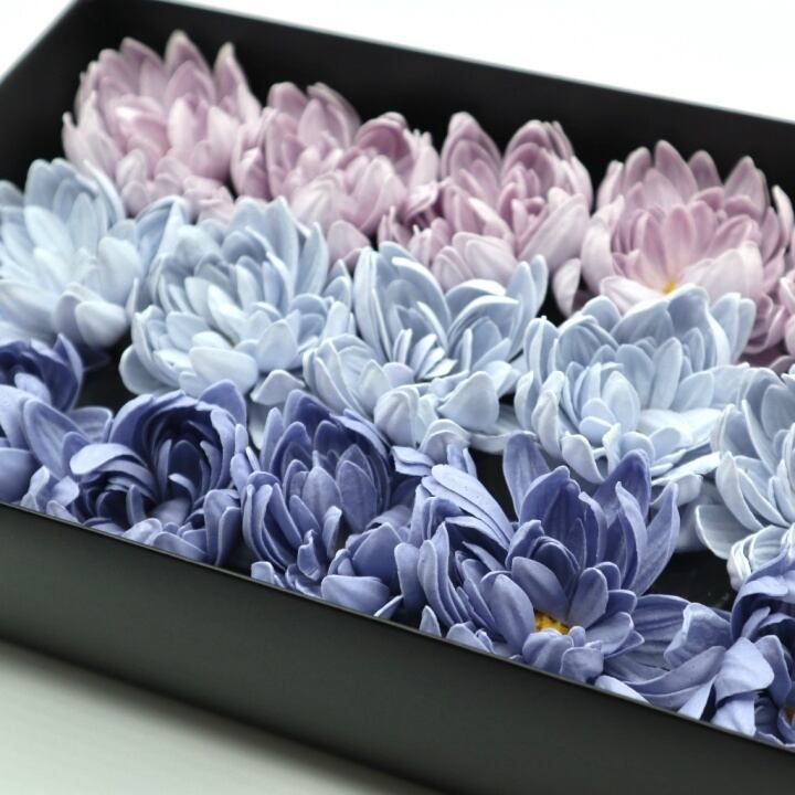 ダリアD-MIX4薄ブルー,紫(15輪入り)