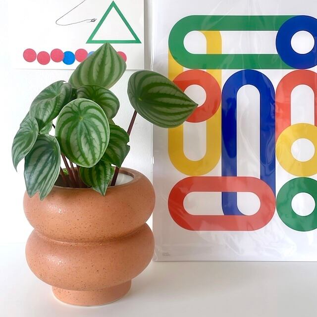 ガーデン | YAY! -Art Design&Household goods-