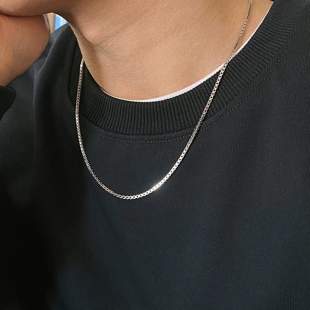 thin necklace (N30)