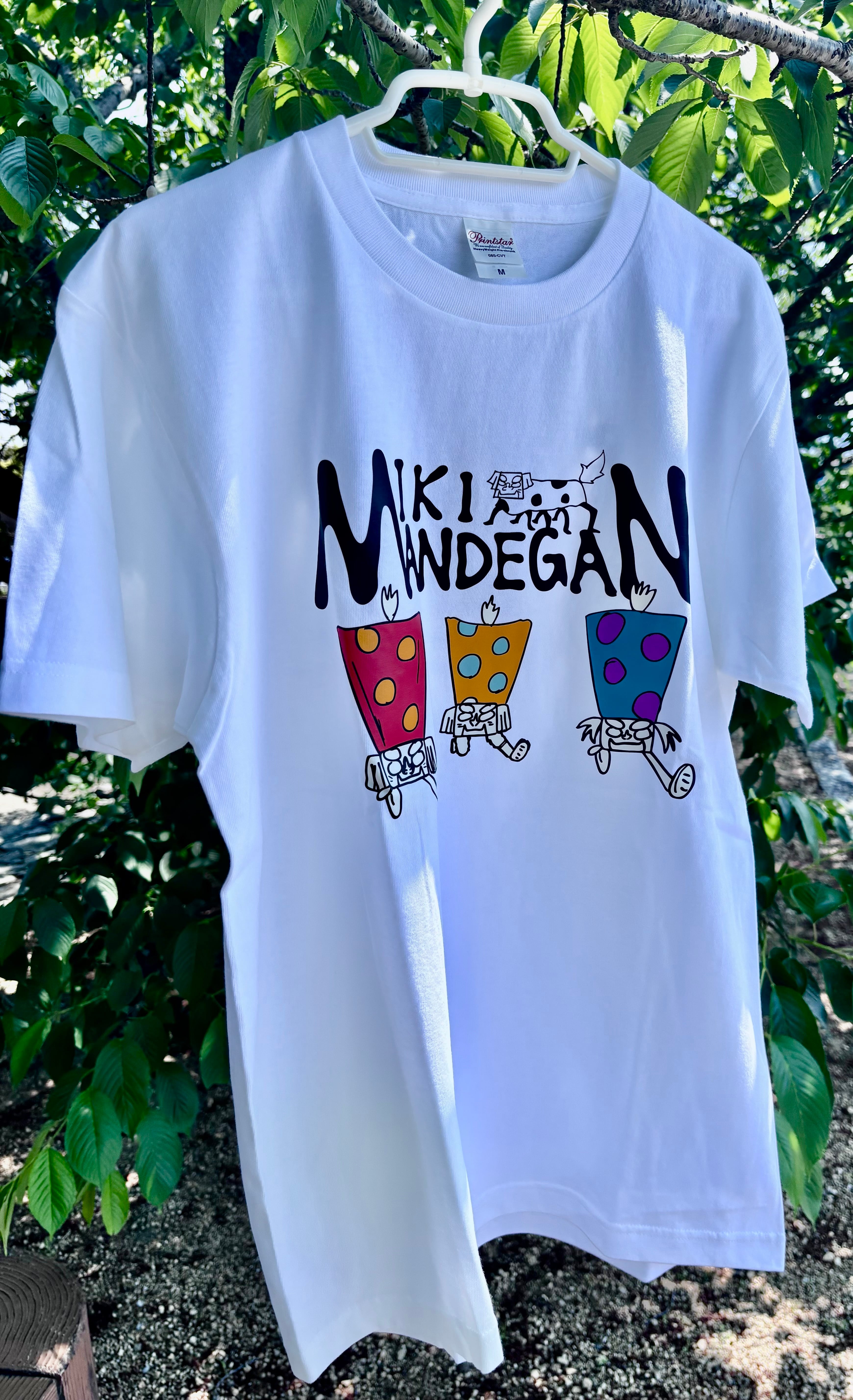 c32f600ab244ce45a5b67bc08f785f