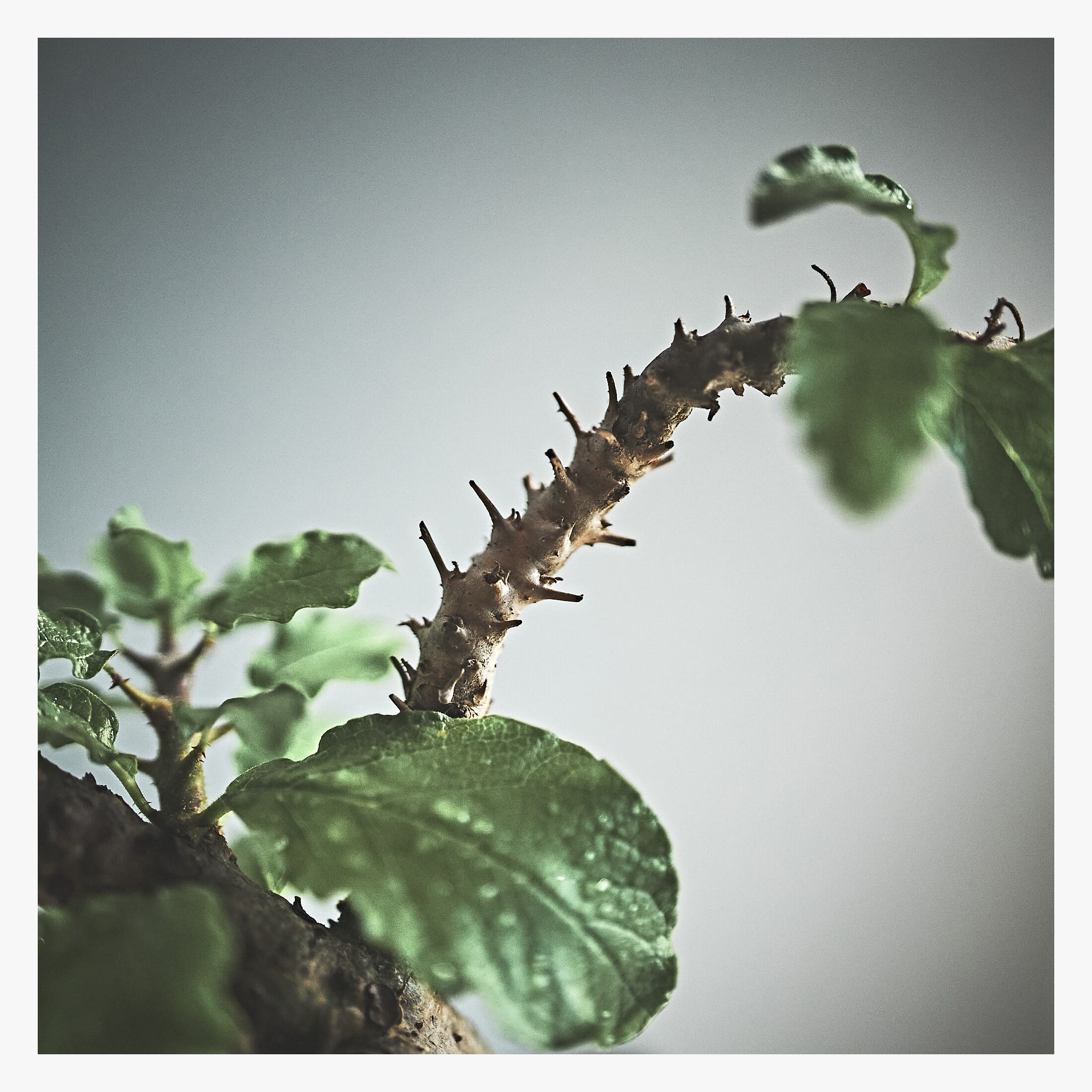 D211日本国有鉄道 制服上下セット　ジャケット　スラックス 昭和46年度 並1号形 鉄道レトロヴィンテージ 当時物 ◇ZERO \u002780s～\u002790s 初代 西ドイツ製 ☆検索 世田谷ベース 米軍 MOON