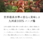 ビッグ手羽先（５本）