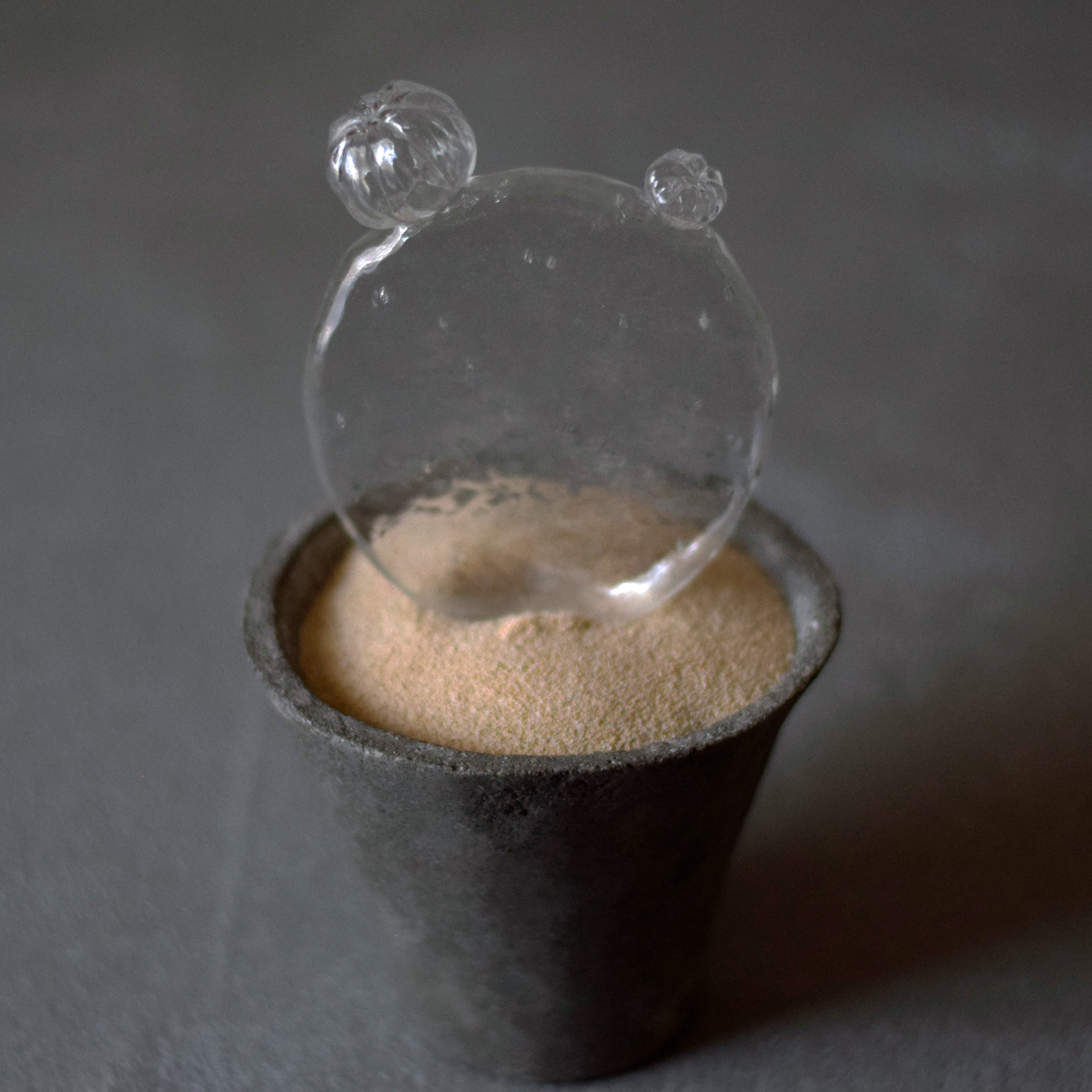 透明サボテン 008 c | Sabotensi