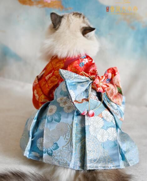 《予約》2101367 ゴージャスツートン浴衣