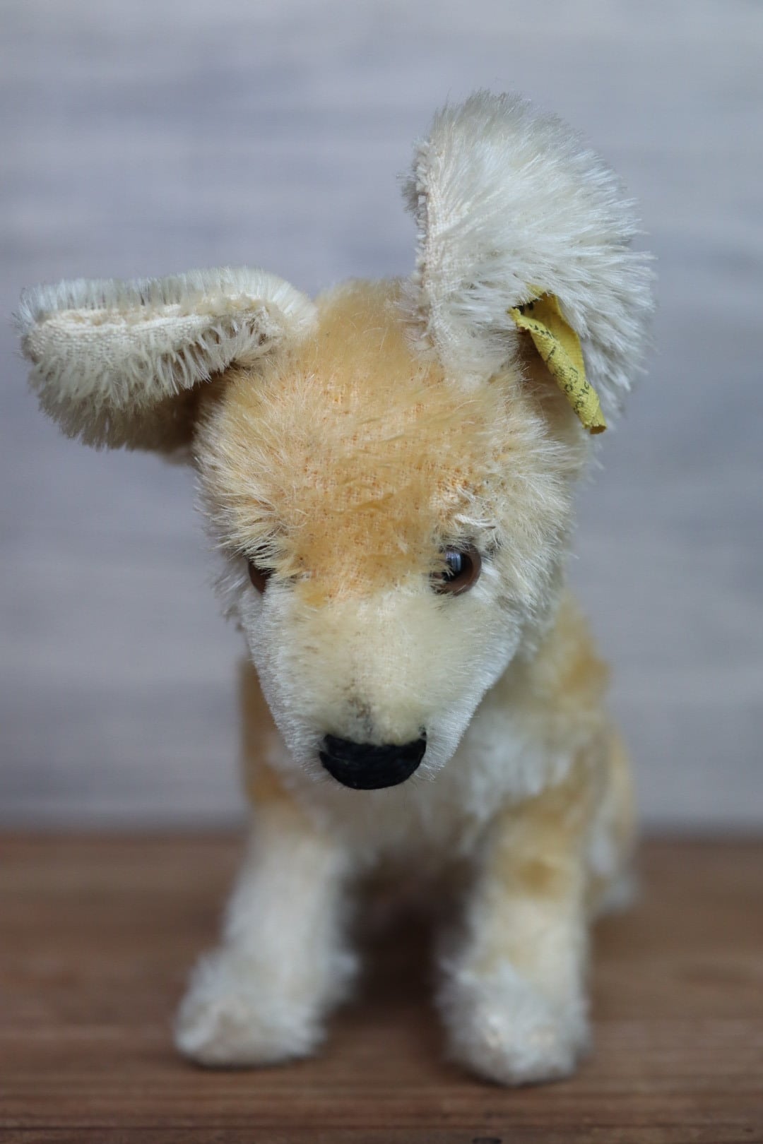 アンティーク シュタイフ きつね Xorry 17㎝