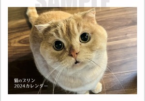 猫のプリン2024カレンダー