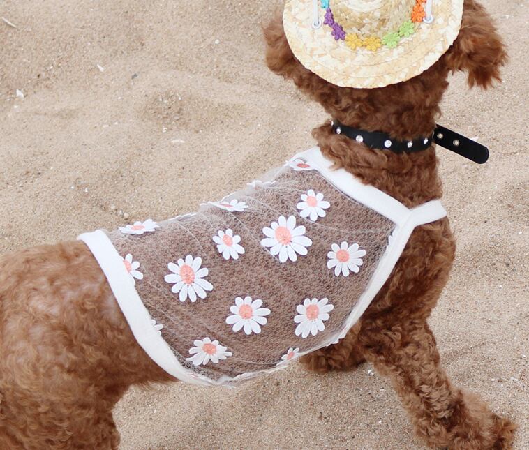 【SALE】フラワーレースキャミソール XS ~ XL  /  犬服 春夏 新作 涼しい 犬の服 ペット ドッグウェア タンクトップ top84