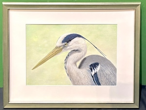 【野鳥生活】原画「あおさぎ」