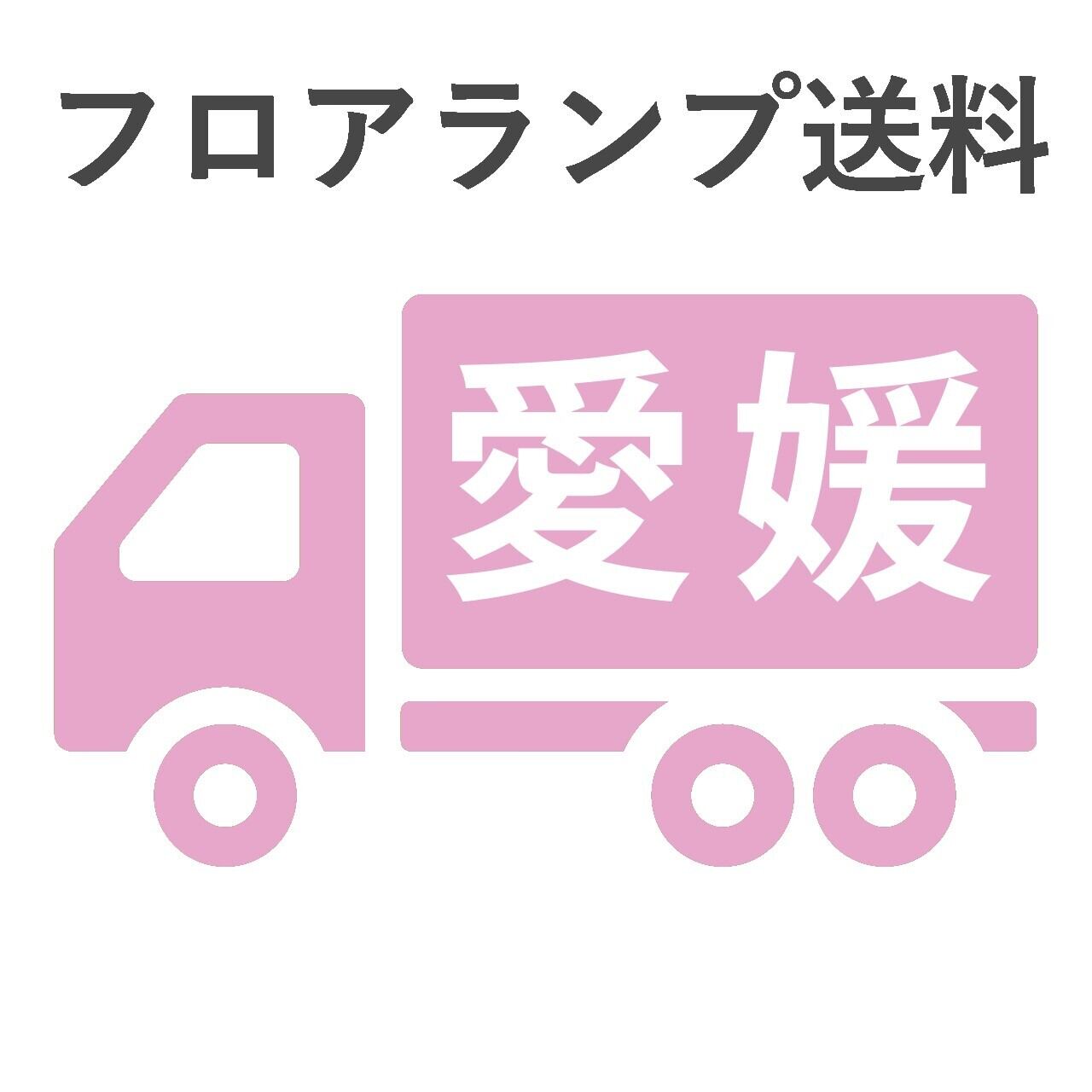 BL-F481,484,806送料 愛媛