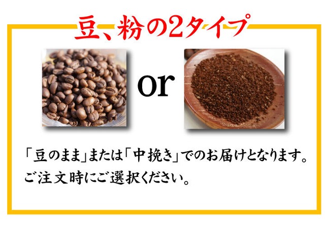 ３種類コーヒー豆飲み比べセット100ｇ×各1袋 ウミノネ シーズナル ブレンド(グアテマラ・エチオピア・タイ)  インドネシア エチオピア