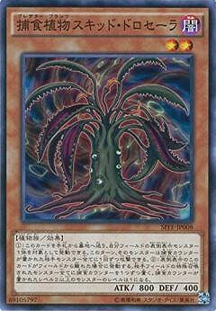 1103環境 ライトロード デッキ ゲートボール 遊戯王 | PAY ID