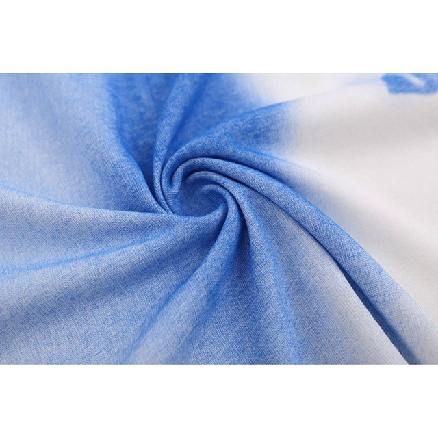 グラデーションフォトプリントオーバーTシャツ 2col   R01798