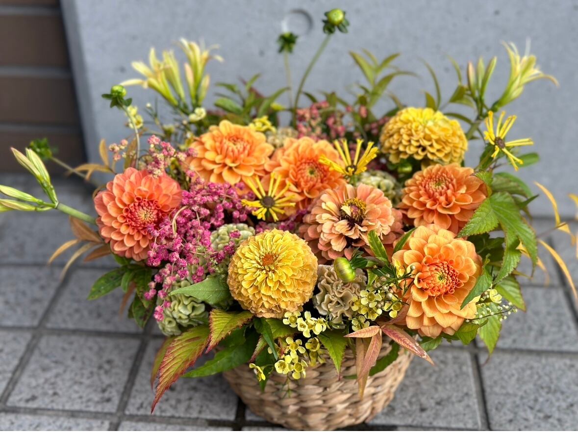 ダリアのアレンジメント『オレンジ』 | 花工房Vegeta