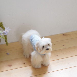 【予約】[ togethering ] Soft Cooling Sleeveless｜Sky Blue