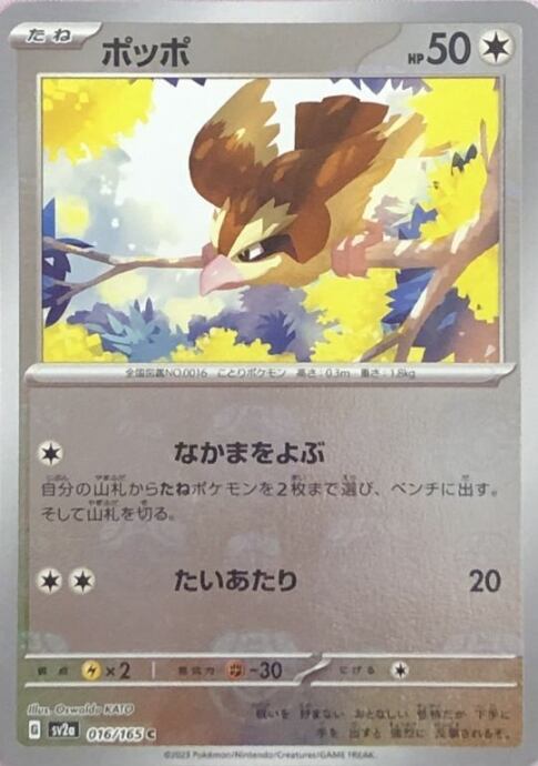 【Aランク】ポッポ(マスターボールC)