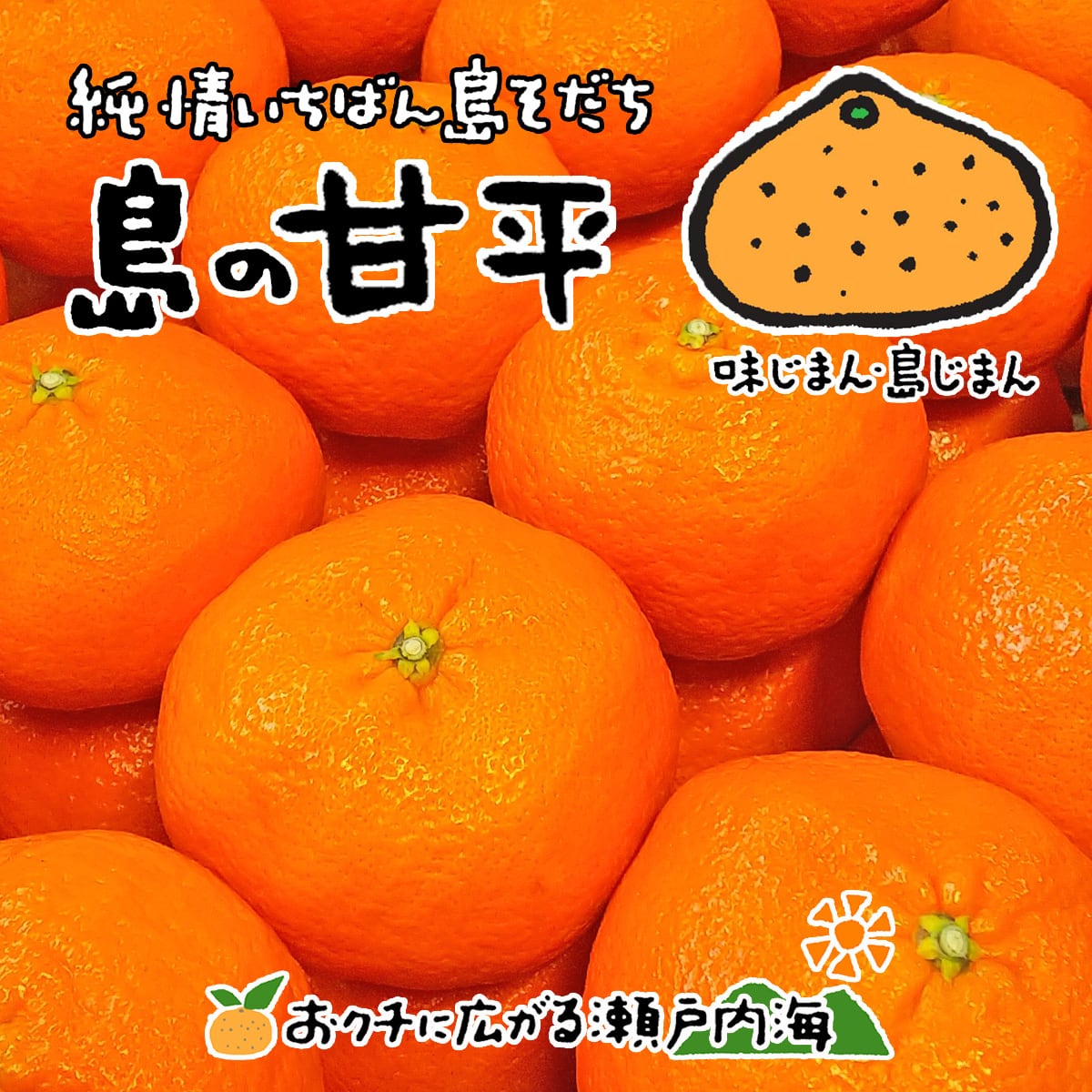 贈答用(赤秀)　みかん　大玉　約3kg　みかんの楽園　甘平　愛媛　中島産　かんぺい　希望の島　希望の島　愛媛の新柑橘3兄弟(紅まどんな・甘平・媛小春)