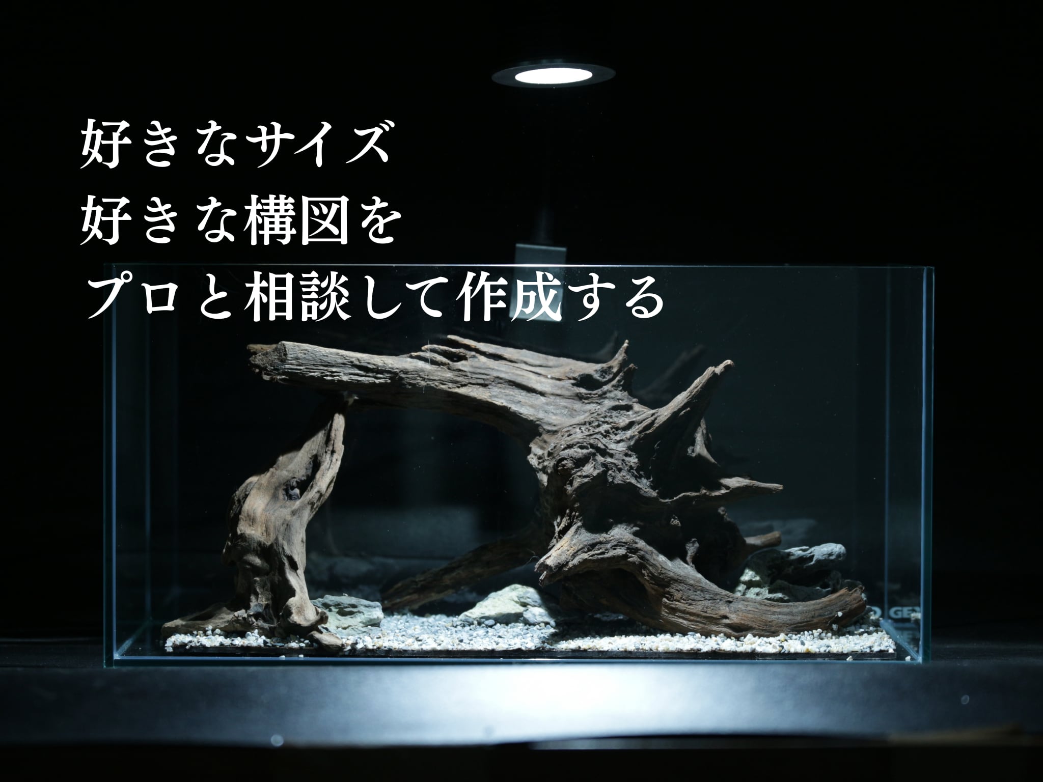 レイアウトベース・オーダーページ | 水槽屋oAsis