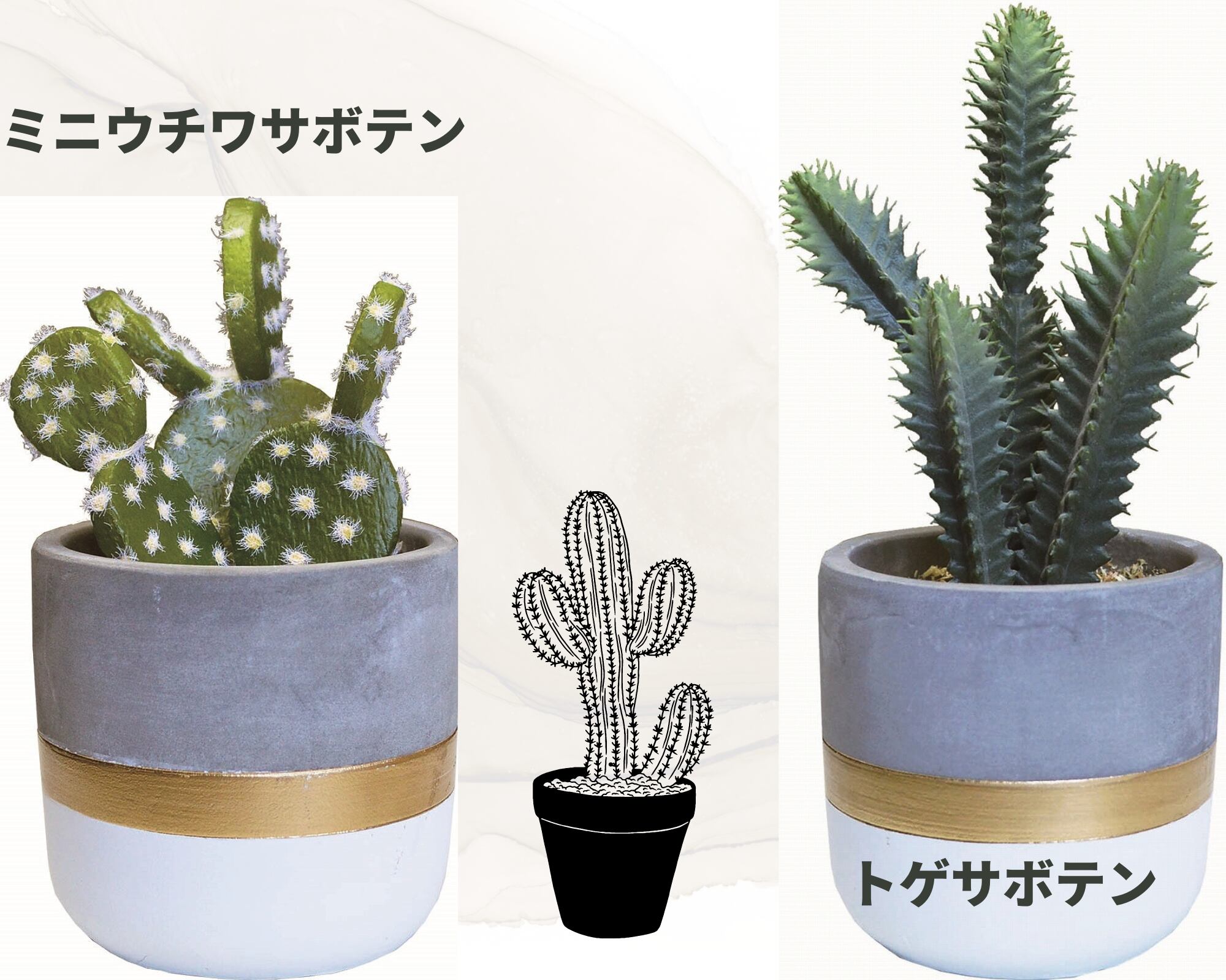 インテリアグリーン サボテン Emiar インテリアグリーン サボテン Emiar