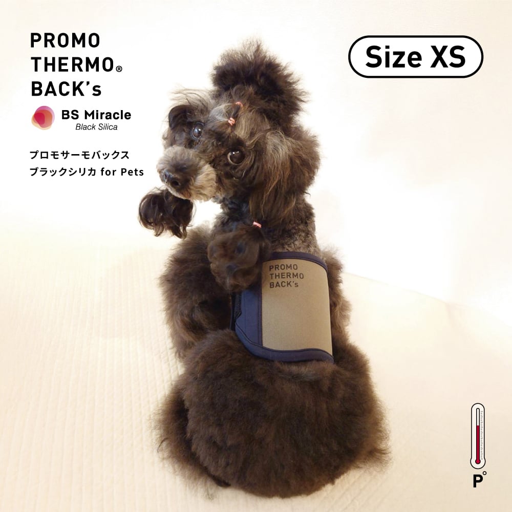 BACK's（バックス） | PROMO THERMO（プロモサーモ）