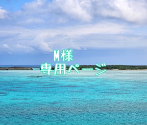 M様専用ページ