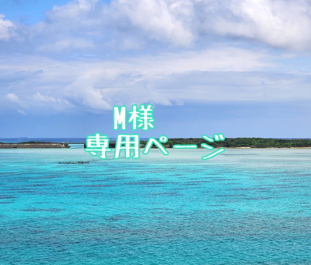 M様専用ページ