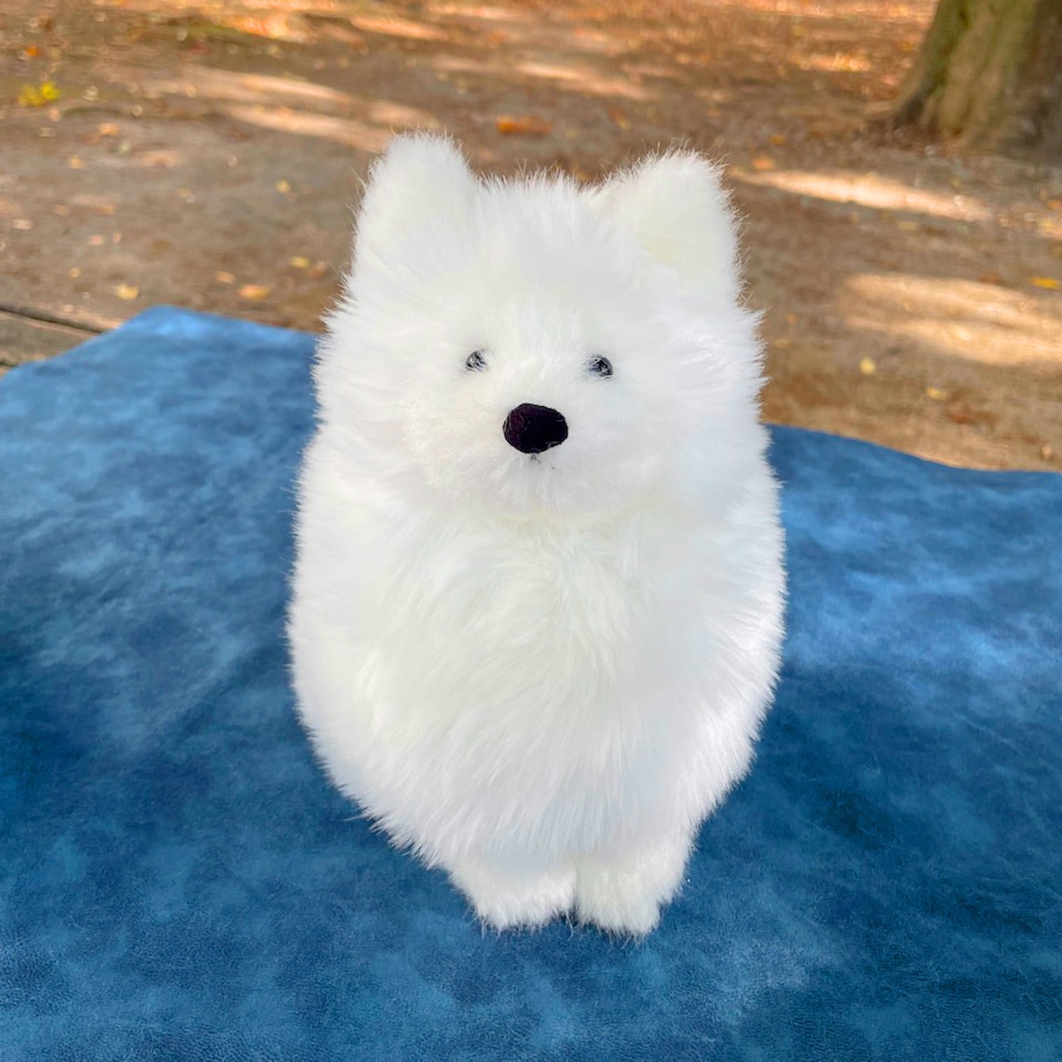 サモエド　ぬいぐるみ ふわふわ サモエドわんこ | もふいぬ