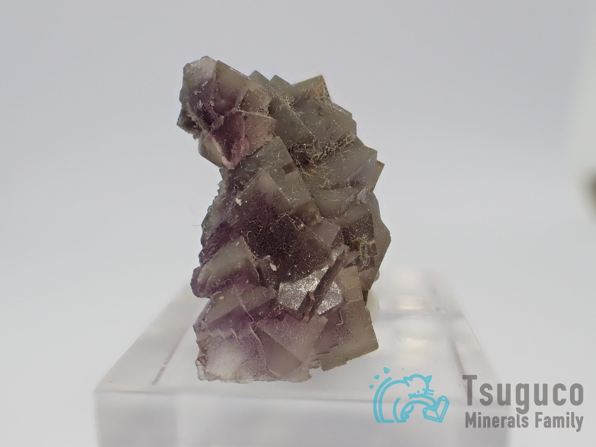 フローライト 蛍石 オーストリア TM-773 | つぐこみねらるず ｜鉱物