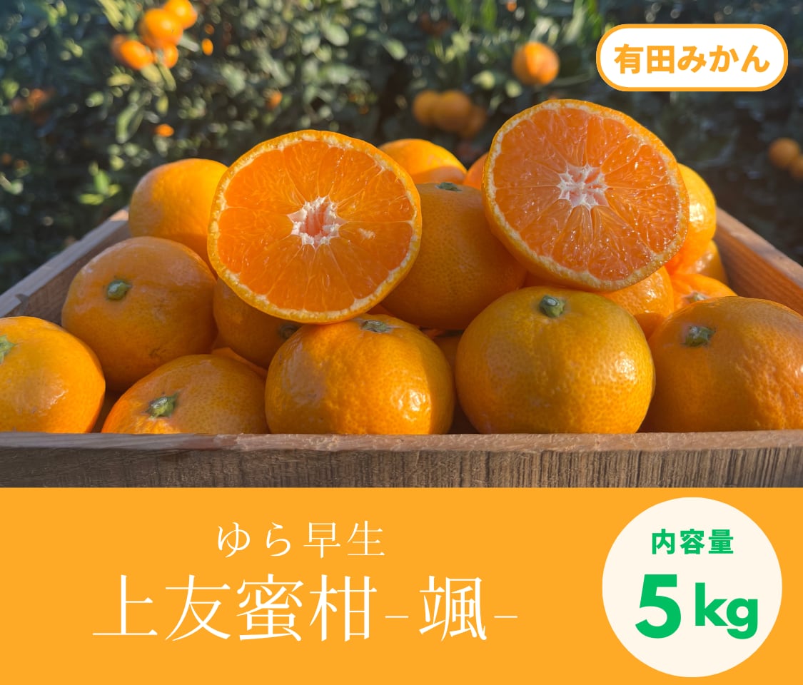 上友蜜柑-颯-【ゆら早生・5kg】
