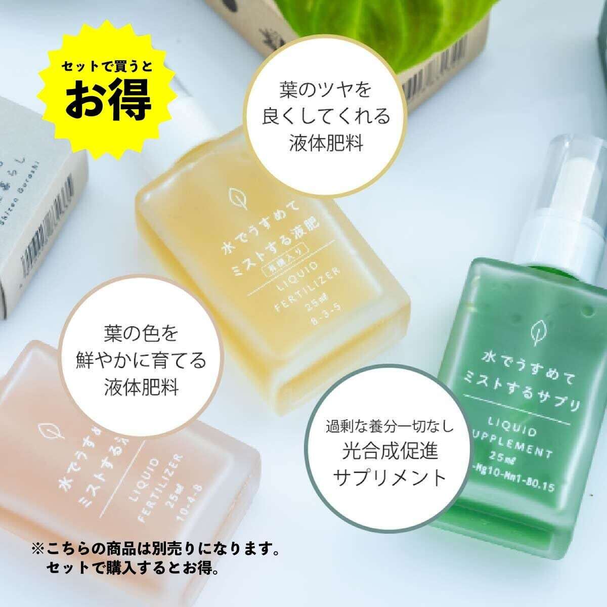 お洒落に飾れる珍しい形のS字ガジュマル 7号 （白長陶器