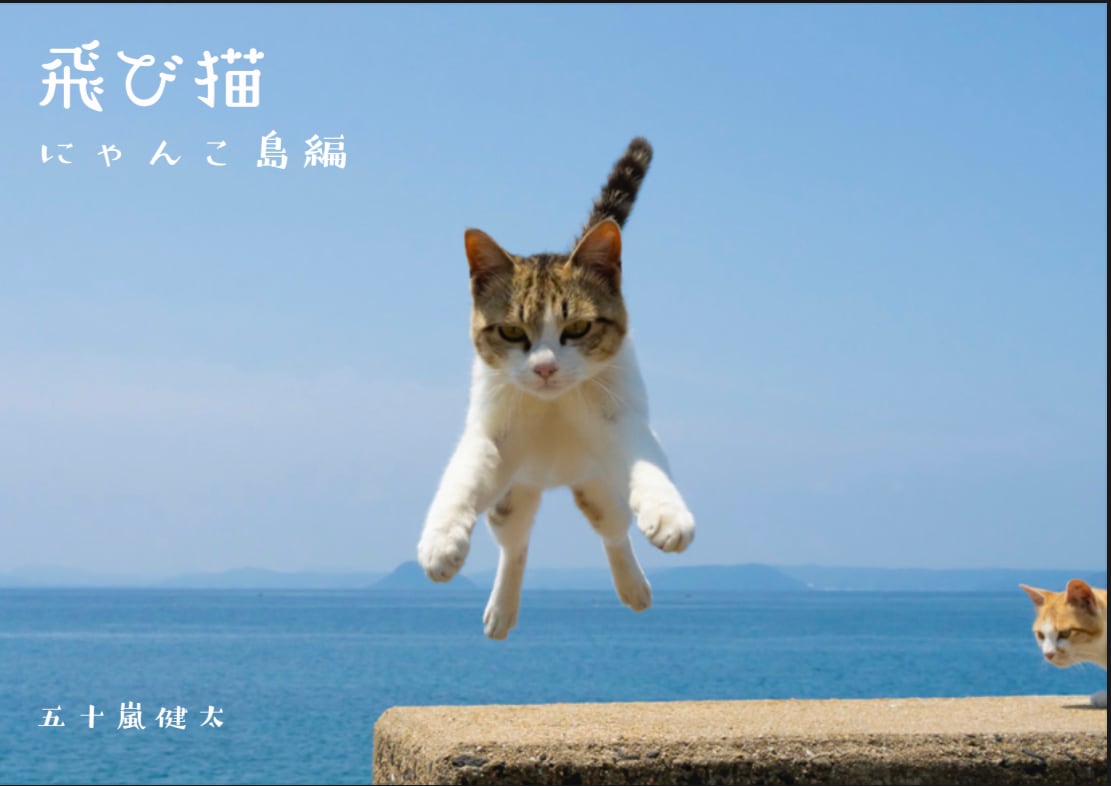 新作写真集「飛び猫・にゃんこ島編」＆「どら猫」写真集セット（送料