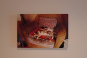 写真パネル　A3 No.10