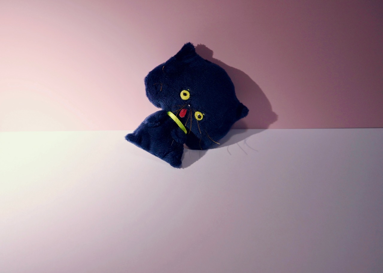 ぺよ（ケース付き）