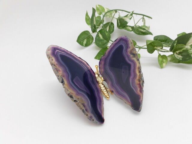 【瑪瑙】　ゴージャス蝶々　no.1