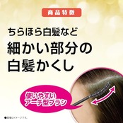 サロンドプロ 白髪かくし カラーオンリタッチ ダークブラウン