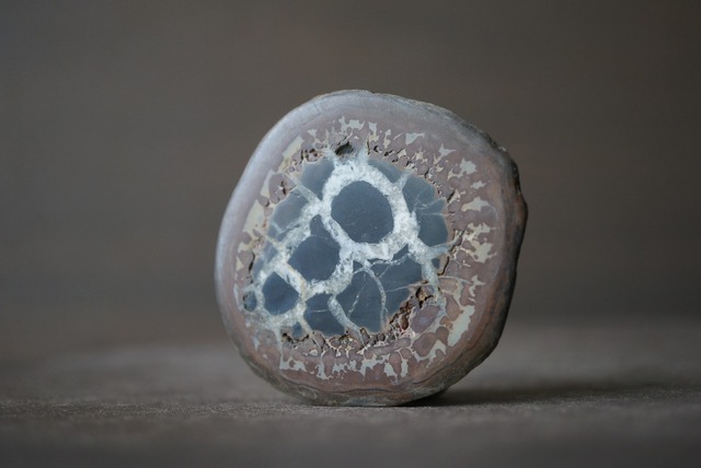 セプタリアン　Septarian　1123