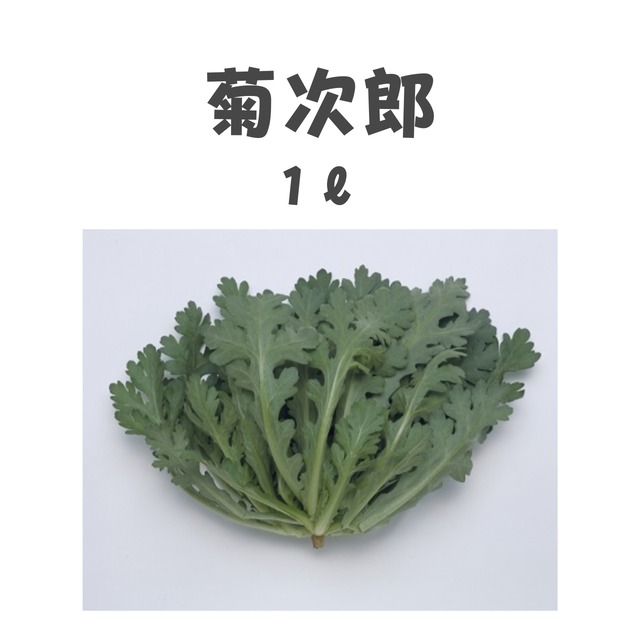 菊次郎　シュンギク種子・1L