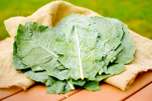 ハイパールケール 約1.5kg/箱  農薬・化学肥料不使用栽培　（長野県原種/育成栽培品種）