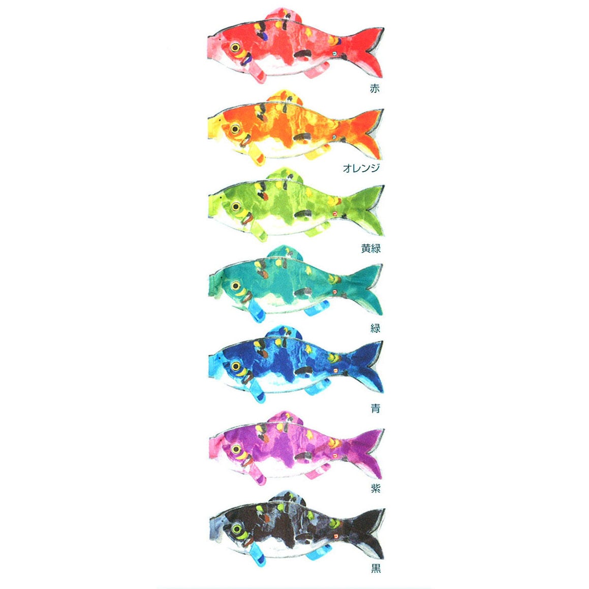 片岡鶴太郎 虹鯉 単品