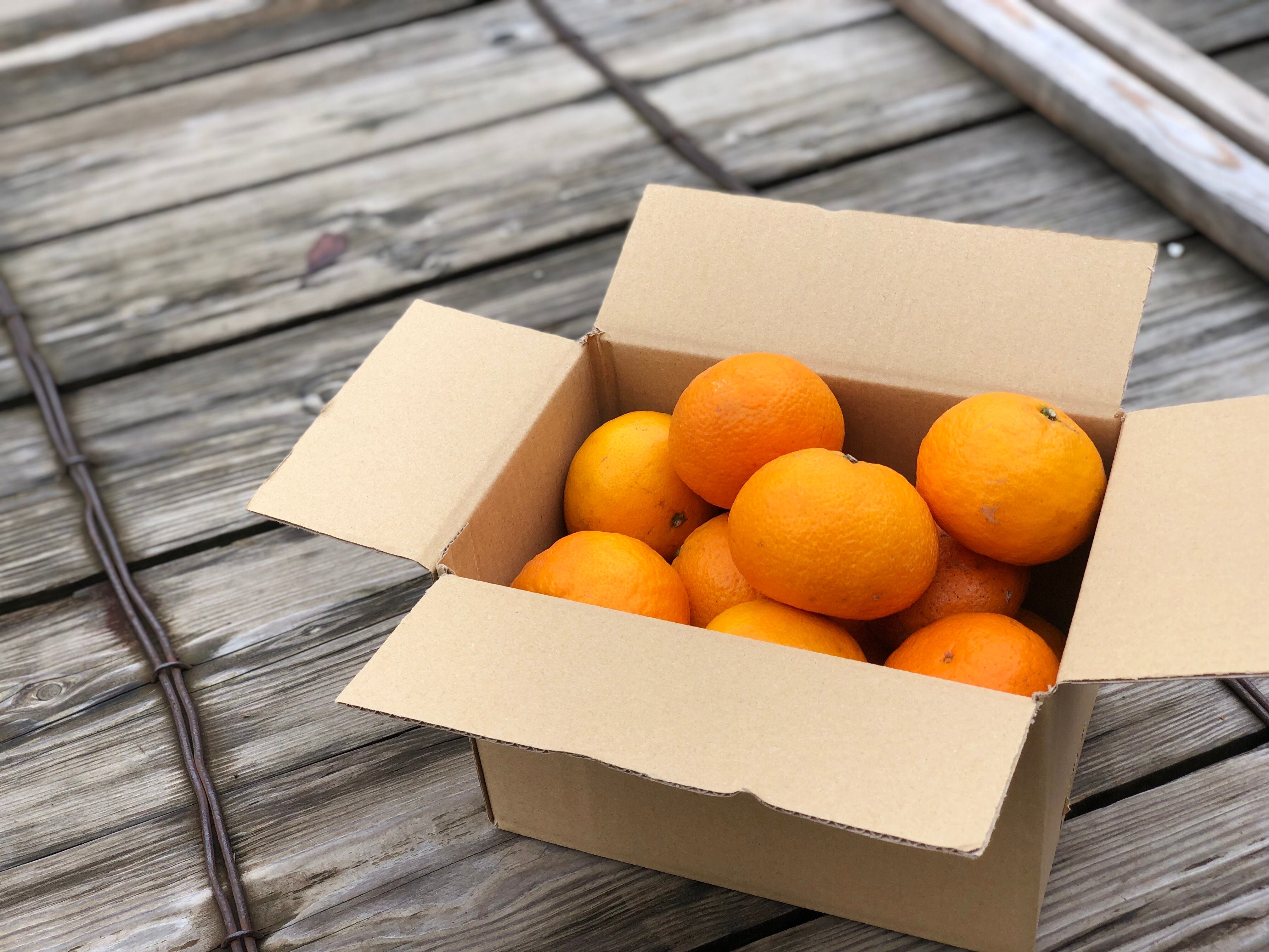 お得な定期便】毎月お届け！はれやか詰め合わせセット 約2kg | はれや