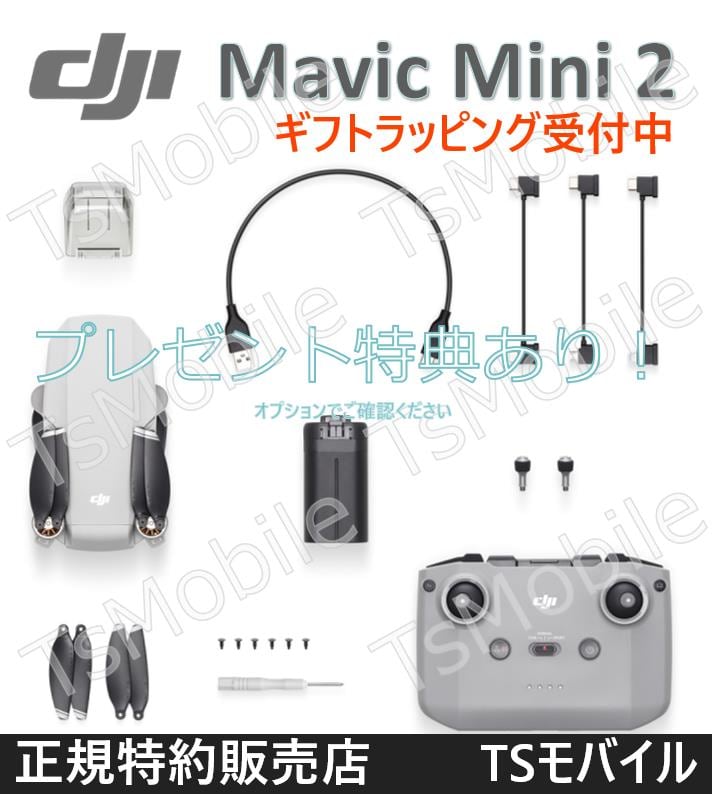 DJI Mavic Mini2 マビック ミニ2 小型 DJI 4Kカメラ付き ドローン【賠償責任保険付】技適マーク 200g未満 TSモバイル GPS microSDカード対応 | Pay ID DJI Mavic Mini2 マビック ミニ2 小型 DJI 4Kカメラ付き ドローン【賠償責任保険付】技適マーク 200g未満 TSモバイル GPS microSDカード対応 | Pay ID