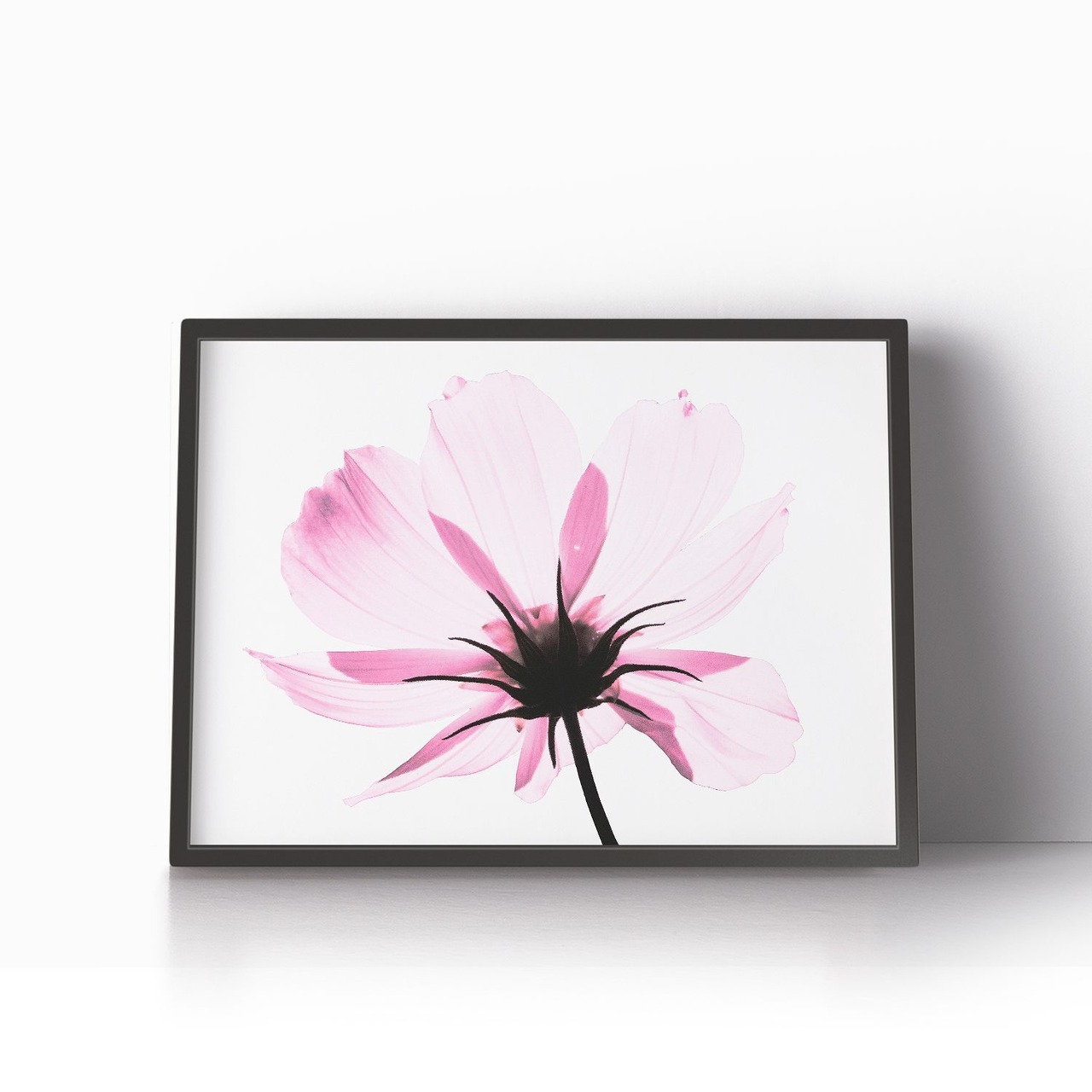 アートポスター / Transparent flower   eb128