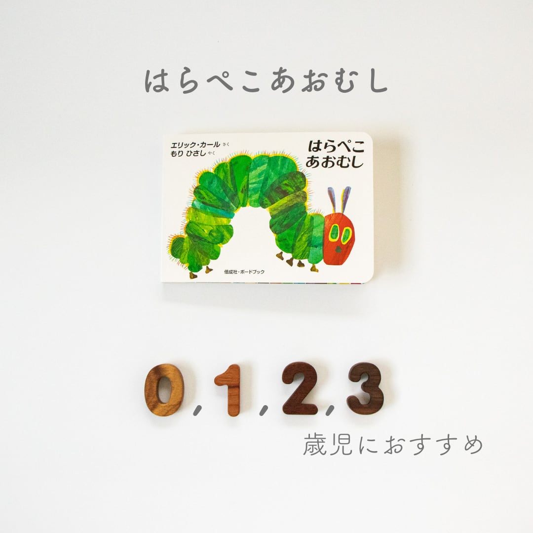 ペコ様 オーダーページ ペコちゃんオーダー PEKOchan様専用 ペコちゃんオーダーページ a-chan