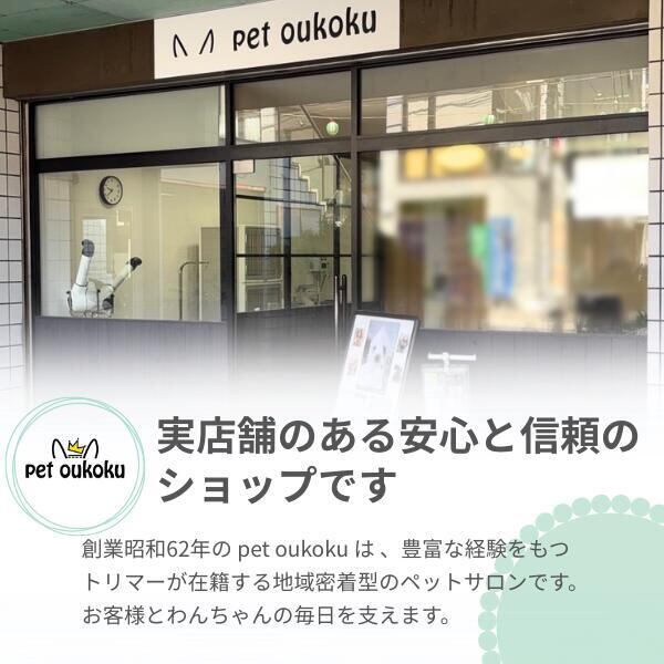 ブラックウッド 5000 なまず 20kg BLACKWOOD 4562210501051 | pet