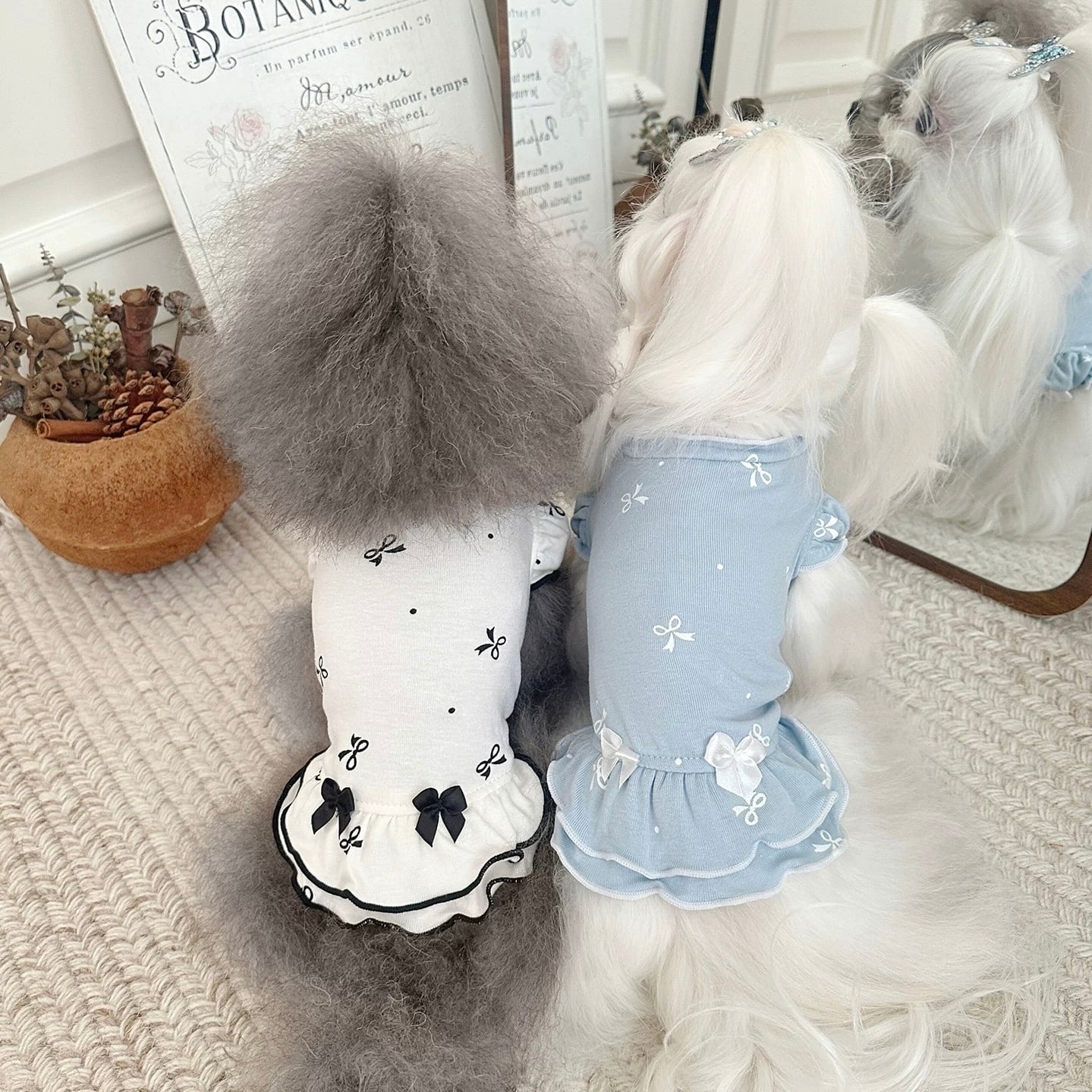 one piece | haenim dog shop