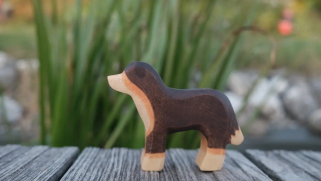 バーニーズ・マウンテンドッグ