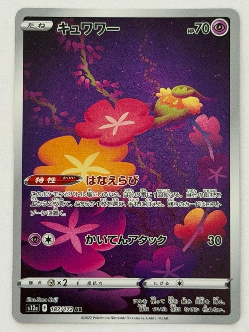 MクチートEX P 186/XY-P XY ポケモンカード PokemonCard | ポケモン
