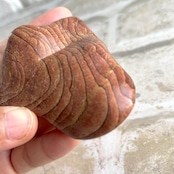 サンドストーン*フリーフォーム*250902-02*天然石*置き物*インテリアストーン